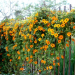 O1CN013Z8jmh2Jkjb5UHuK3__2213216199460