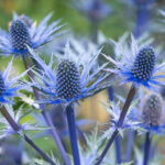 O1CN01OanZkf2BdOFva3GrI__2044468361-0-cib