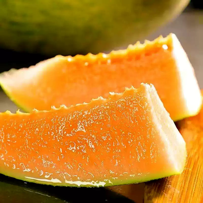 O1CN01mA0tyl1qxuG51FXH7__2217688425563_jpg_q50_jpg