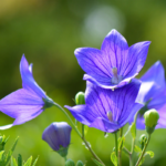 O1CN01e7Sspx2Jkjm1IZMdx__2213216199460