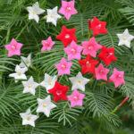 O1CN01jYzVna2JkjlgcYI8x__2213216199460_jpg_q50_jpg