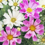 O1CN01UTyubV2JkjlVglzMG__2213216199460_jpg_q50_jpg