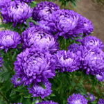 O1CN01WNwdEu2JkjgGuFvYk__2213216199460_jpg_q50_jpg