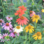 O1CN01LjFJTI2BdOLBm6N0d__2044468361-0-cib