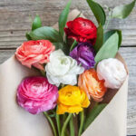 O1CN01JY4b7l2Jkjlyr8qVB__2213216199460_jpg_q50_jpg