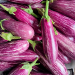 Fairy Tale Hybrid Eggplant Seeds