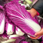 O1CN01ux6ReL25Hy9zSZ3Mu__2212819927502_jpg_q50_jpg