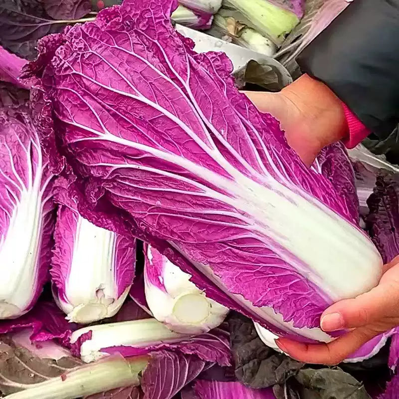 O1CN01oJBuLN25Hy9v8wppt__2212819927502_jpg_q50_jpg