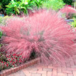 O1CN01dRZbRB2Jkjlv3gkj0__2213216199460_jpg_q50_jpg