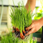 O1CN01oKpKNe23kFGB6mnbb__2208391157293