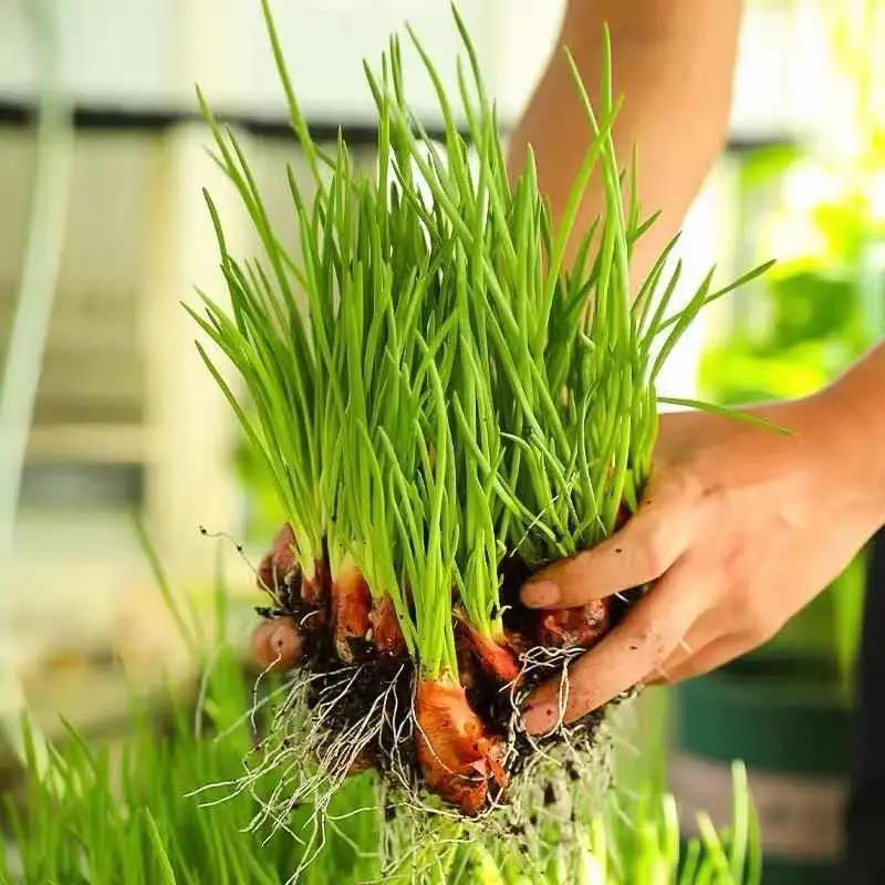 O1CN01oKpKNe23kFGB6mnbb__2208391157293