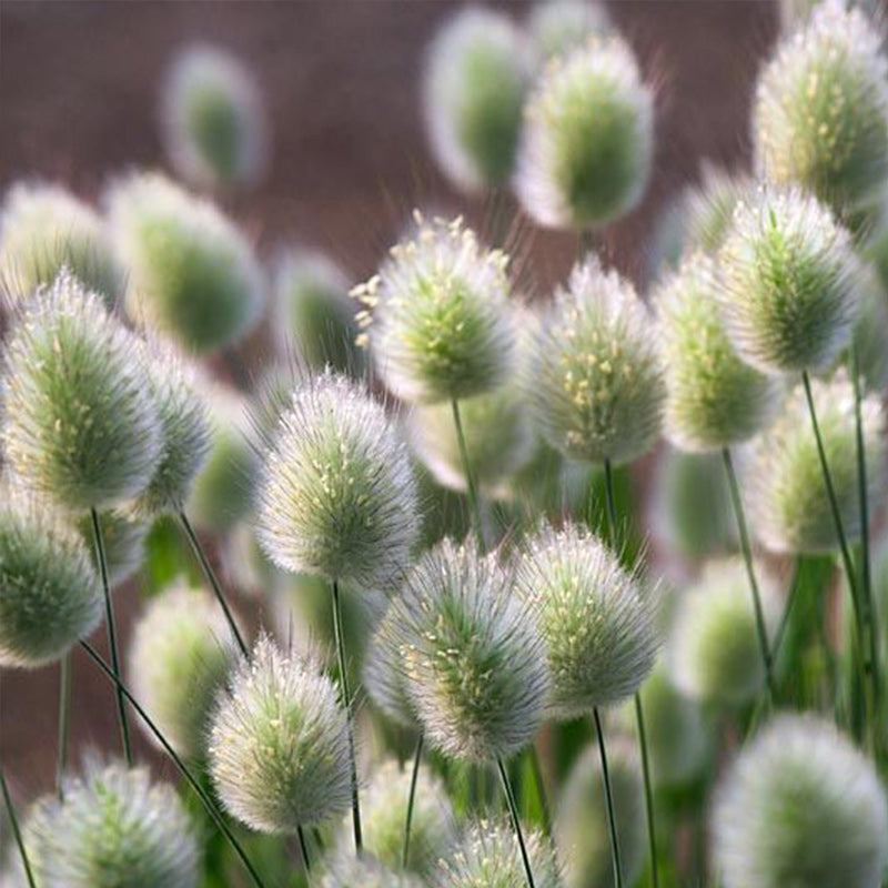 O1CN01oRbVbe2JkjZXIveYZ__2213216199460