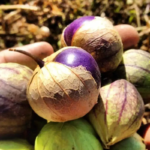 O1CN01CJXqxQ2JkjbG33viB__2213216199460