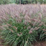 O1CN01BGUybX2Jkjbd8z8t4__2213216199460_jpg_q50_jpg