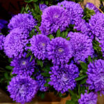 O1CN01WNwdEu2JkjgGuFvYk__2213216199460_jpg_q50_jpg