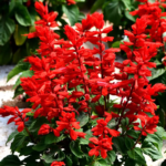 O1CN01jPVtSl2JkjldWlDOh__2213216199460_jpg_q50_jpg