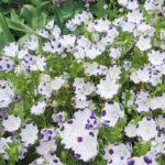 O1CN011K9W9e2JkjkTsW1K7__2213216199460_jpg_q50_jpg