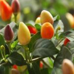 O1CN01NfyFzn272yNBobbmi__2212454367740_jpg_q50_jpg