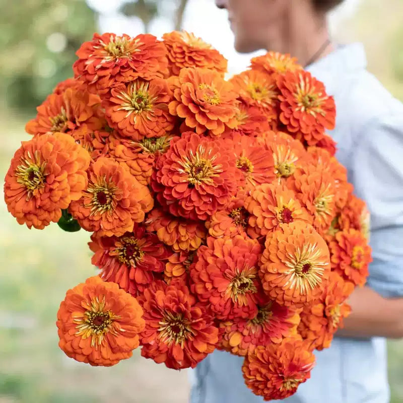 O1CN01pj6gRA2JkjepWXEuK__2213216199460_jpg_q50_jpg