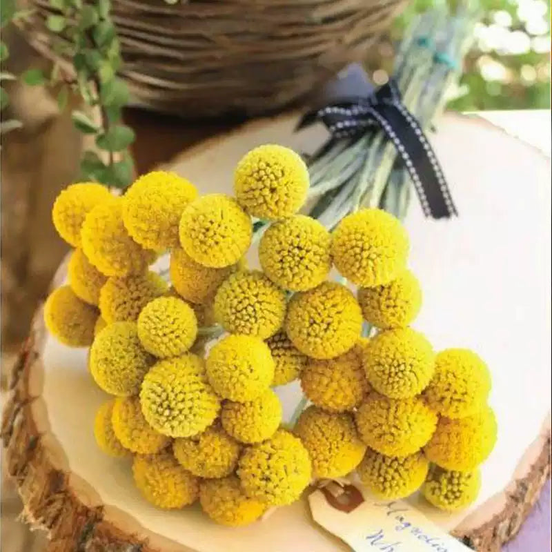 O1CN01ppRMmg1kHPdGgchVH__2212881014658_jpg_q50_jpg