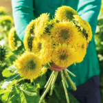 O1CN01q4rHnr2JkjlspqzA5__2213216199460.jpg_q50.jpg__1