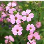 O1CN01WVXQ512JkjlTfsqBc__2213216199460_jpg_q50_jpg