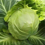 O1CN012U7xGu1i0LjW2hSTB__2215898334350