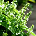 O1CN01HTuNeu2JkjXEz2j0N__2213216199460_jpg_q50_jpg