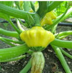 O1CN01z170A62JkjlsHj1S4__2213216199460_jpg_q50_jpg