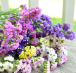 O1CN010cxFVt2JkjlY7Q4Vs__2213216199460_jpg_q50_jpg