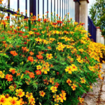 O1CN014M60sN2JkjlroRnVv__2213216199460