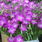 O1CN01aLpTRs1rIVu5YJHMy__2200558985608