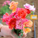 O1CN01sxz4gE2JkjlaqThBN__2213216199460_jpg_q50_jpg