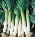 O1CN01t9Jeft2DjSuXW1M9F__2214675978645