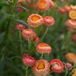 O1CN01VEQsJn2JkjmCpB1zM__2213216199460_jpg_q30_jpg