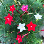 O1CN01jYzVna2JkjlgcYI8x__2213216199460_jpg_q50_jpg