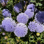 O1CN01XyQgUW2BdOHhVYDDL__2044468361-0-cib