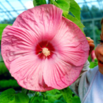 O1CN01CJhJXn2Jkjj1inYAY__2213216199460