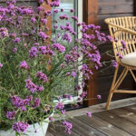 O1CN01NrBlMq2JkjXFNHJ8V__2213216199460-1