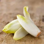 Bingo Endive Seeds
