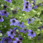 O1CN01ThYmb32Jkjfi23u5m__2213216199460