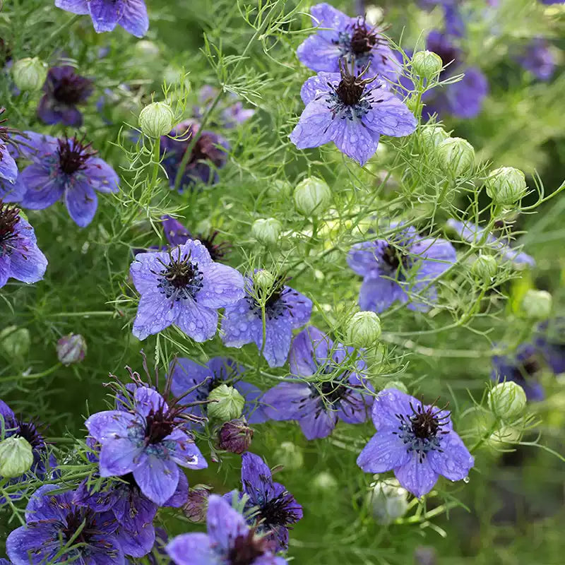 O1CN01uIMcNw2JkjlpZS084__2213216199460_jpg_q50_jpg