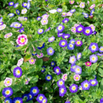 O1CN014YBjRL2JkjlStFW6B__2213216199460_jpg_q50_jpg