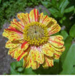 O1CN01HtST2T2JkjaINJzfZ__2213216199460_1