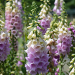 O1CN01THI1Av2BdOGJvWhLk__2044468361-0-cib