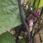 O1CN01ArWhIb1XUcEhVFPKV__23922927