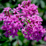 O1CN012fDfDj2BdOQApdpLK__2044468361-0-cib