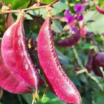 O1CN01j5wVqp1HCGUgkLrwL__2208059850721