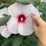 O1CN01CJhJXn2Jkjj1inYAY__2213216199460