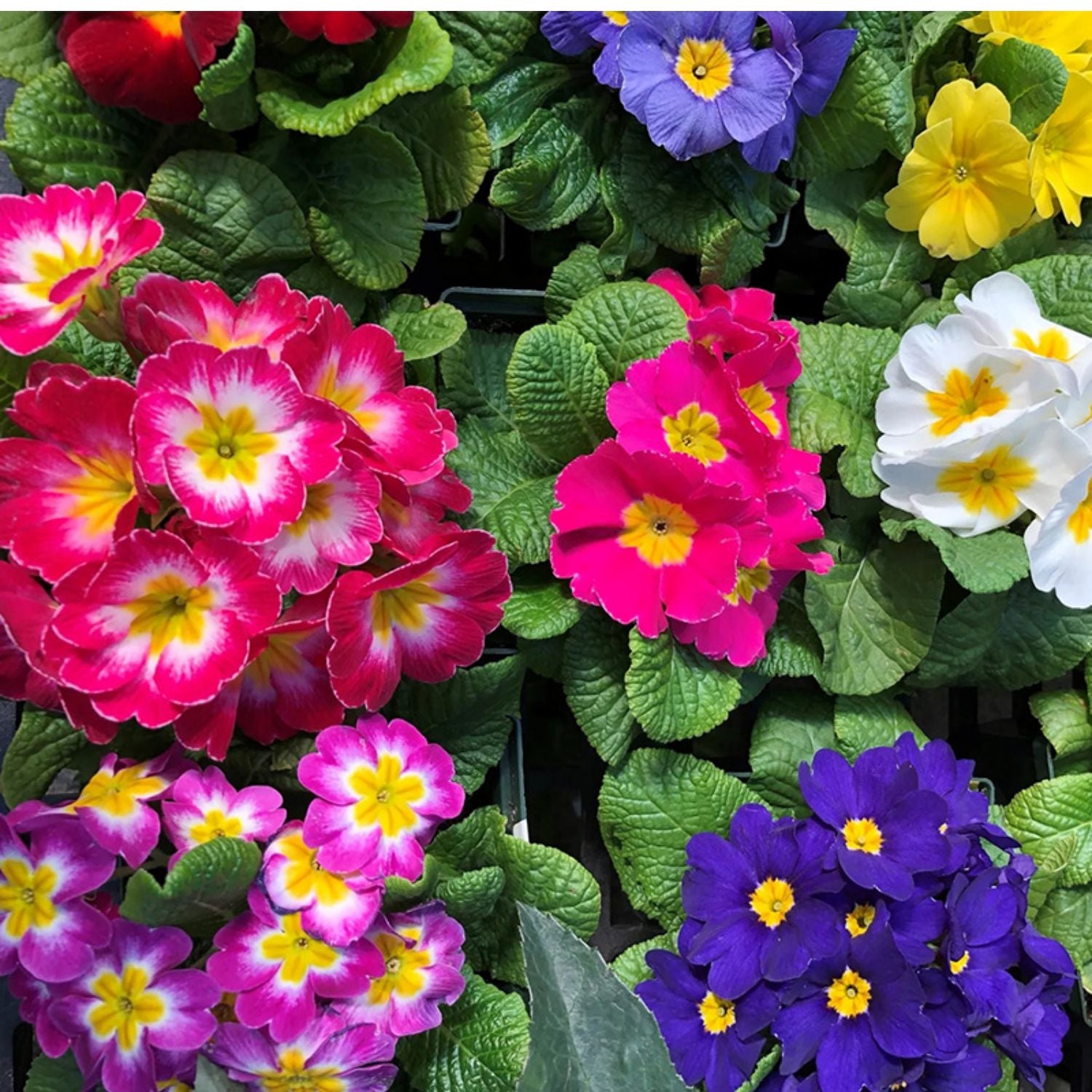 O1CN01vjXRys2Jkjm2fgTCN__2213216199460